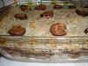 Eu Fiz Arroz de Pato-p2251413.jpg