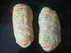 Eu Fiz Beef Wellington-snc00028.jpg