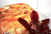 Eu Fiz Molotof-img_3097.jpg