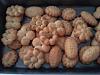 Eu Fiz Biscoitos de Erva Doce-p220412_19.46.jpg