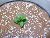 Eu Fiz Bolo Mousse de Chocolate (outra vez)-tarte-musse1.jpg