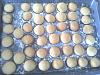 Eu Fiz Biscoitos de Erva Doce-img_20120427_094020.jpg