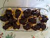 Eu Fiz Profiteroles-11042010072.jpg
