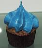 Eu Fiz Cupcakes de Chocolate III-dscf1012.jpg