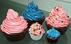 Eu Fiz Cupcakes de Chocolate III-dscf1025.jpg
