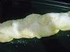Eu Fiz P�o Brioche de Coco-004.jpg