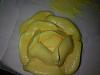 Eu Fiz Bolo de Lim�o IV - Bolo de Anivers�rio-morpheus4313.jpg