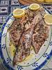 Eu Fiz Peixe Espada Grelhado-20120517_195937.jpg