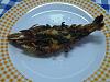 Eu Fiz Camar�o Tigre Grelhado com Molho Verde-img00707-20120615-2039.jpg