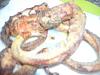 Eu Fiz Tent�culos de Pota Fritos Deliciosos-dscn0258.jpg