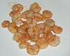 Eu Fiz Camar�o Grelhado-dscn0415.jpg
