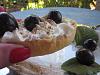Eu Fiz Cestinhas de Massa Folhada Recheadas com Chantilly e Cerejas-img_0034.jpg