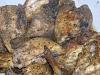 Eu Fiz Frango Assado R�pido e Saud�vel-dscn0422.jpg