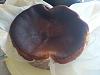 Eu Fiz P�o-de-L� de Ovar-dsc_8396.jpg