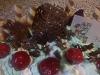 Eu Fiz Bolo de Morangos (Especial dia da M�e)-img0389a.jpg