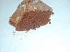 Eu Fiz Bolo Tenta�ao de Chocolate-dscn0504.jpg