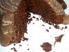Eu Fiz Bolo Tenta�ao de Chocolate-dscn0505.jpg