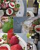 Eu Fiz Salada de Agri�o e Morangos-page-1-.jpg