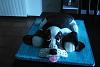 Eu Fiz Bolo de Anivers�rio Basset Hound-p1020682.jpg