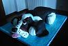 Eu Fiz Bolo de Anivers�rio Basset Hound-p1020681.jpg