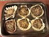 Eu Fiz Conchas Vegetarianas � Aurea-snc00421.jpg