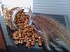 Eu Fiz Amendoim Caramelizado Crocante-wp_000052.jpg