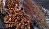 Eu Fiz Amendoim Caramelizado Crocante-wp_0000542.jpg