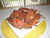 Eu Fiz Blue Crabs-dscf8435.jpg