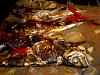 Eu Fiz Carapaus Assados no Forno-dscn0898.jpg
