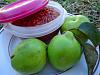 Eu Fiz Marmelada da Duxa-dsc0886555.jpg