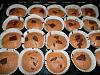 Eu Fiz Muffins tipo Starbucks-user38185_pic23135_1345483805.jpg