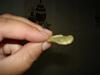 Eu Fiz Salsichas Panadas-dsc00778.jpg