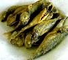 Eu Fiz Jaquinzinhos Fritos-dscn1015.jpg