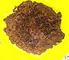 Eu Fiz Brigadeiros de Colher e Cacau-dscn1075.jpg