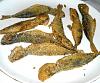 Eu Fiz Jaquinzinhos Fritos-dscn1129.jpg