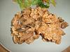 Eu Fiz Risotto de Porco com Cogumelos-dscf1191.jpg