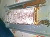 Eu Fiz Torta com Recheio de Chocolate e Coco-l-s008.jpgS008.jpg
Visualiza��es: 265
Tamanho: 61.3 KB
ID:	50935