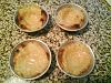 Eu Fiz Past�is de Nata-dsc03218.jpg
