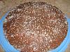 Eu Fiz Bolo com Creme de Chocolate e Coco-bolo-creme-chocolate-coco-2-.jpg.jpg
Visualiza��es: 381
Tamanho: 100.6 KB
ID:	51606