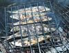 Eu Fiz Sardinha Assada na Brasa-dscn0505.jpg