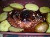 Eu Fiz Polvo � Lagareiro-23102012754.jpg