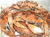 Eu Fiz Blue Crabs (Carangueijo Azul)-dscf0346.jpg