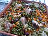 Eu Fiz Arroz de Frango no Forno-03022013064-1-.jpg