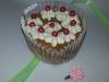 Eu Fiz Cupcakes de Chocolate III-20130215_221859.jpg