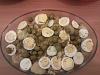 Eu Fiz Bacalhau � Gomes de S�-photo0194.jpg