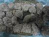 Eu Fiz Nacos de Frango com Sementes de S�samo-img00204.jpg