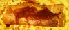 Eu Fiz Crepes com Chocolate e Natas-crepes-chocolate-jana.jpg