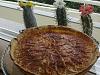 Eu Fiz Tarte de Ma�a com Creme Custard-29032013086.jpg