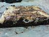 Eu Fiz Brownie Cheesecake-img00255.jpg