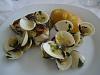 Eu Fiz Peixe-Espada � Alentejana-dsc09837.jpg